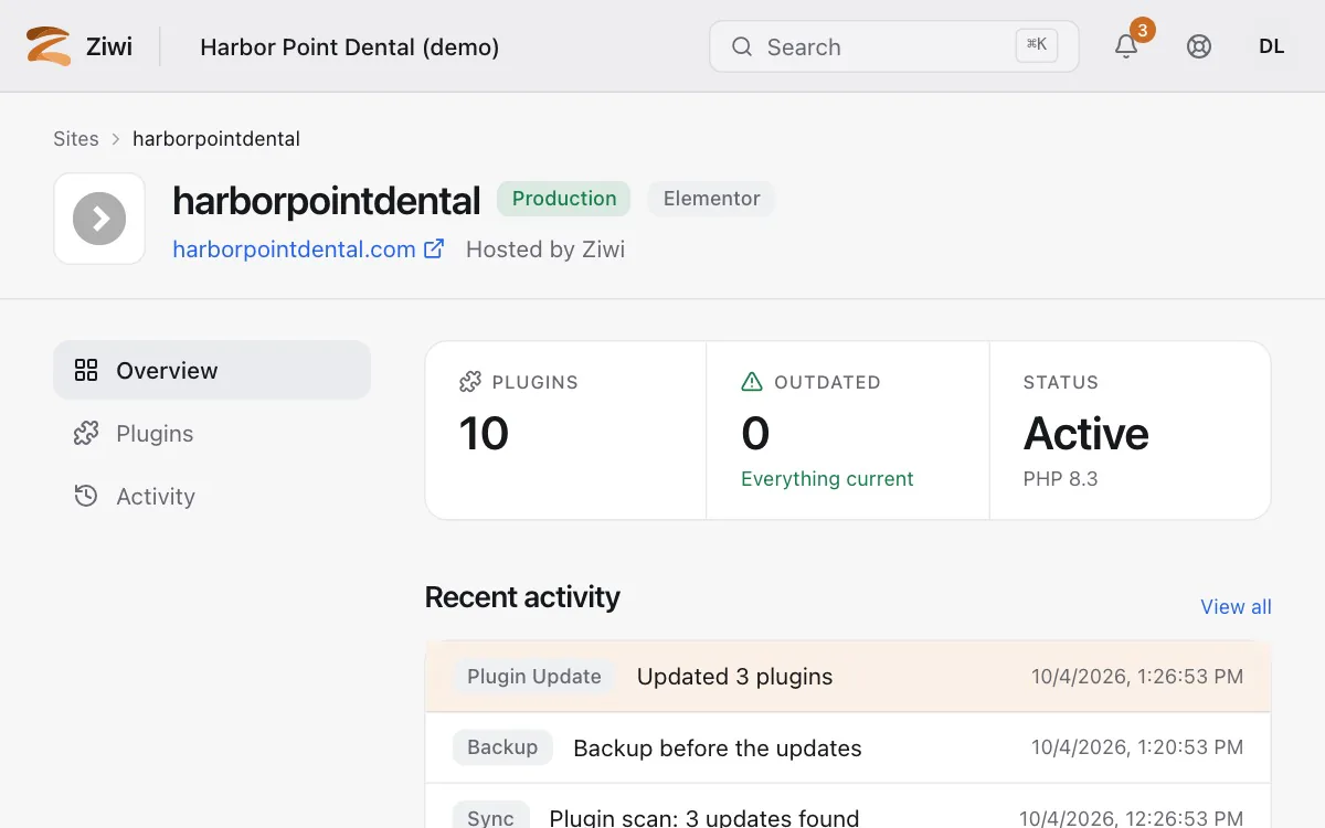 The website's hosting page in the portal: 3 outdated plugins become 0, Everything current, as Updated 3 plugins lands in the history beside Status Active.
